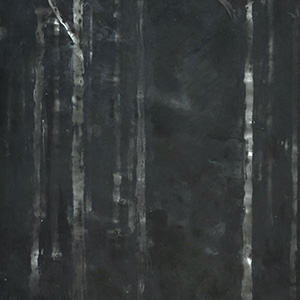 Night Forest #2