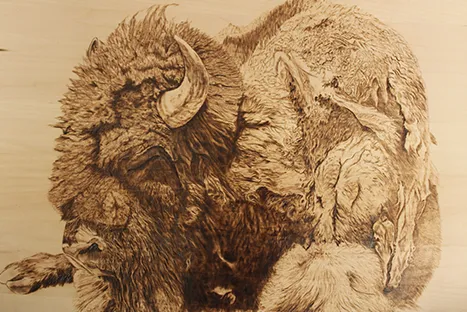 Buffalo Woodburning