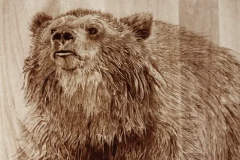 Bear Woodburning