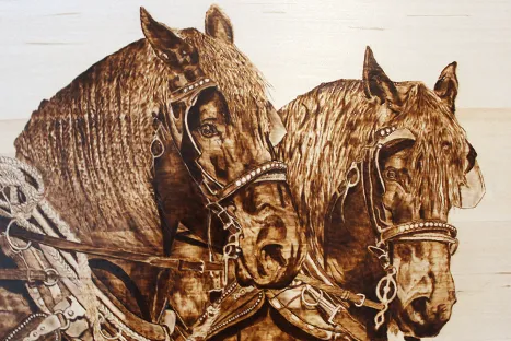 Horses Woodburning