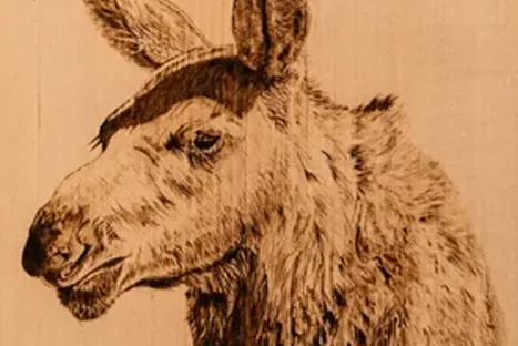 Moose Woodburning