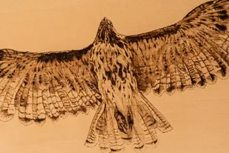 Hawk Woodburning